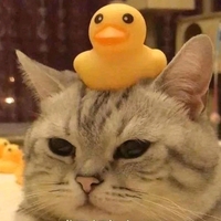 7ac94efca13ba1c6552aed6aaa4d9f1c4dbb7d3d