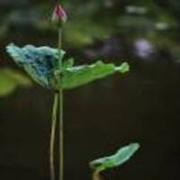 28d9cd3ba7634a97b4796ebc117bbdc68d4c6c61