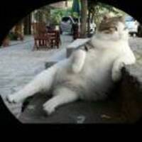 D42d08049e436ea74dee9652bfda95e9e961acff