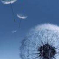 Dda97505b73aed442ed0b2d423f9260322a9a970