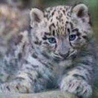 1476ed204fa4c2df1341f27098907793e30dd440