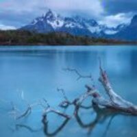 D979e9c9105c5f098af1c029437341a1d36636ba