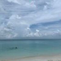 A1f137ed92f0e9e5162e0e5188698cce814b6810