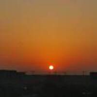 686e3985583b5a8ca4f0f6f21484af9a49c66562