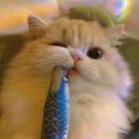 64d9e1910aae6a585814a7db2fb62662d1878811