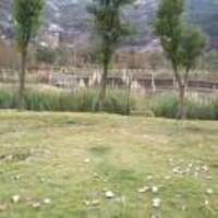 872403f32b048ca22a193a6398e6a3e1d38e0ac1