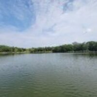 Bd328ac6e8da72a4b146d5f9cebad913bb04bbd5