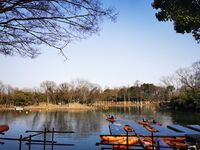 5e8c663e4ccc74657e4b38264d21536559dc5a5a