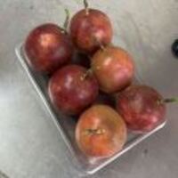 Bfd5e0b97d99b400fab8d5a8815aef54dfad2028