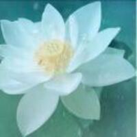 D8e2e7ba2ed18ee1d1066b7dd65b09c566426647