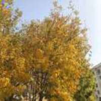 3ff59b2420cf503574f991a7c22edae0bfe6a5dc