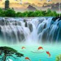 C8dc6d9e2bb13fab994d8ba3e8f8b2294cab50e4