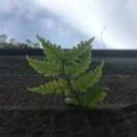 Bfbf08b3aa73b7915e8083a47076da1b66514377