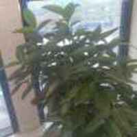 3a765414eb9318f579545e5cb3cc113977606308