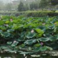 0c87bb02c74c005218fc060dc424c7ee0a8bb216