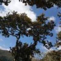 51c40a237cbbca0ed4364574471da014813a5f1c