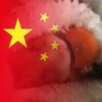 8b2715ea4f67cfa4fd005cb08cd5ec02009cd0ce