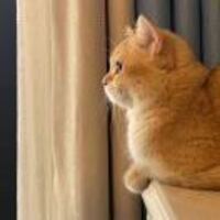 E851812ac22e483d5f62b34ed9ee030b648b5f52