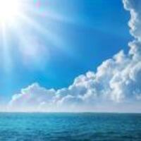 A77d1353cb614c619fdcd9d041f69f3925a29c98