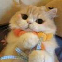 1ebe94327338fd43401810ae19f142af051e332d