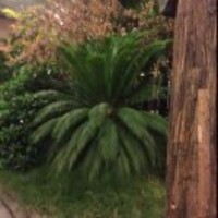 1609fd1cfc27b0194bafb387a72798d3f1895b00