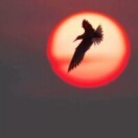 E511cc96f7f6d6bcef4c4c3d9ddcdc78849c22a7