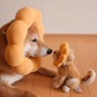 4a41a8f6f041c4b356b50cbcbc843a3ead3469ed