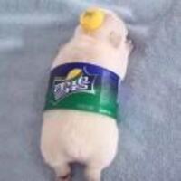 Ba7fda60a372a8fc56aca78d4cf04a0c42ff4b6a