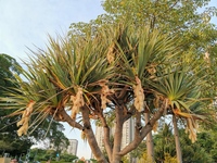 26bef23cb600f7893ee71a5d1451412d89acb47f