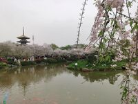 B342ed77d7be65500002e89fa7b31cf80ecd7fb0