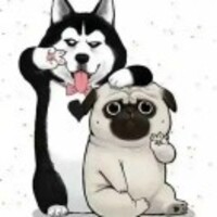 Ee3b90dd624e0e5b0f4f96c5b04add986f183b46