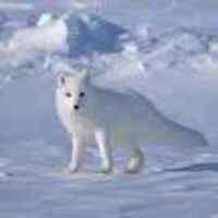 D7b6ddaf4643dfd54ae77eec50a989b7f5b65bf9