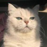 4ea7029bf09c573068d0bf81a6de03e0a35a681c