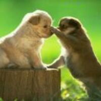 6c37b22eb993721038d61e9b18d69213b3de53e9