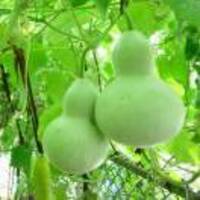 1189ce86bfd7eb03dfa88194e780ec11dc34c04c