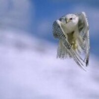 758e03d5f672bcba8085fbb31ee71e568a96552f