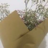 A79b4b3f915123c9700e3e6839493a514e87ffe4