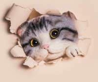 48c179266e337774c7725918471b741a894a0054