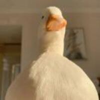 Ce49443212f6f211cccac98ecd062bc52c91012f