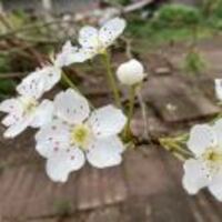 3bf9544bea590c313ec3d93e67b03a7e67fadd05