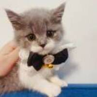 95713a1c8d3c8beed08756260bc1a38cadf49d30