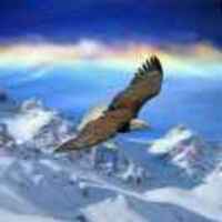 988fd2719c24324f57b40c33dd9b42a7fe2ca582