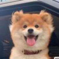 De1edc35dfbd968b6cb643a9d63a408abc7a1719