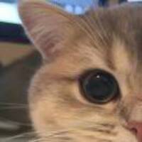 D6e602145aa012b96cb1ef5f15125833af4c8f01