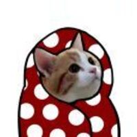 224c02b50d09b337a4ae8619c73ba2b2b08e1729