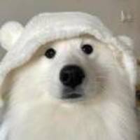 85d0e6d82401bcaa1f3ccc9c85a3b6e763714d10