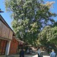 Dd37e69f78c8cd190f58b4707d2a3040a125953b