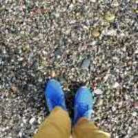 5e066af14363e8ad12a6c57a8f85b8253fe5641e