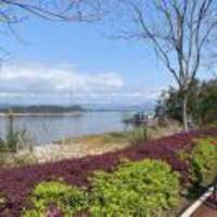 3d73ca486e74d98c20beec22d858e17ed29b135b