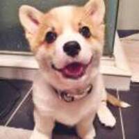 F264531cc11d82b64efc4dda2d70c70570c3e259